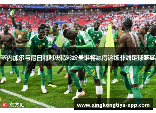塞内加尔与尼日利对决精彩纷呈谁将赢得这场非洲足球盛宴